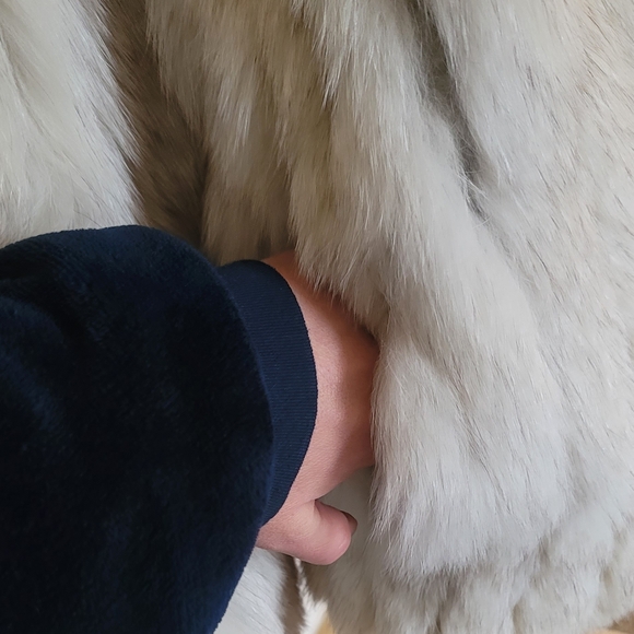 Saga Fox Vintage Blue Fox Fur Coat, Size L, Mid-Length Coat - Picture 4 of 8